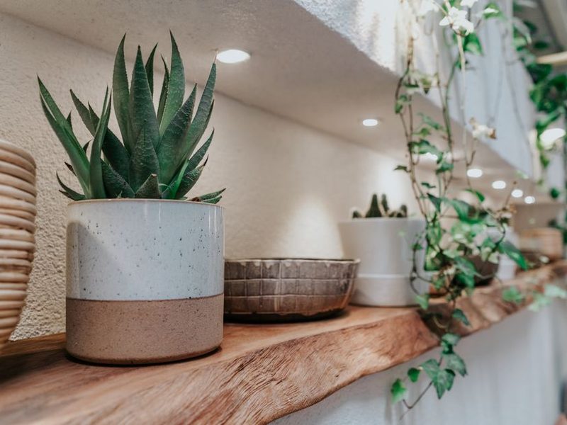 Estante con plantas y objetos decorativos